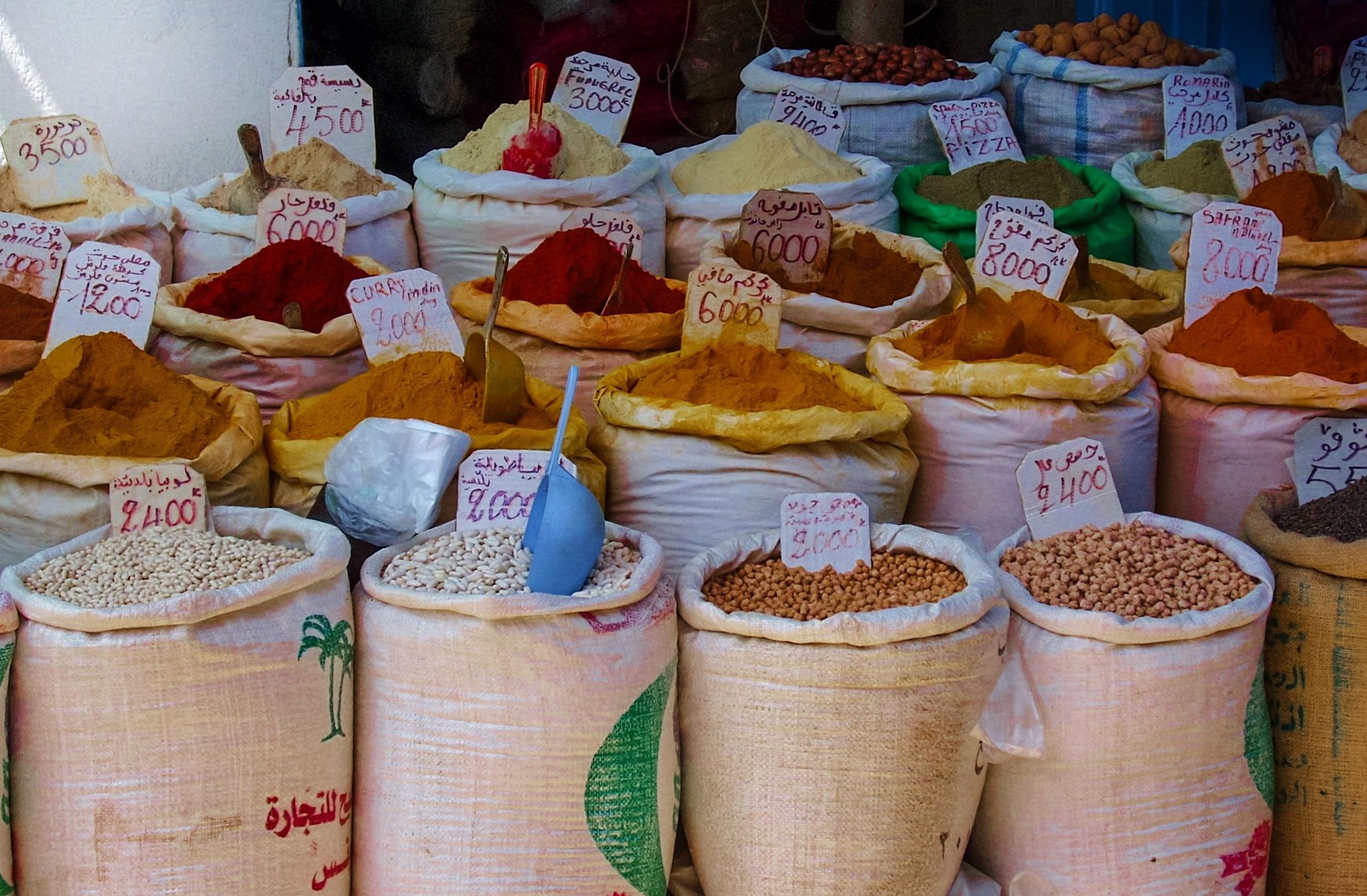 Essential Travel Tips for Visiting Morocco
