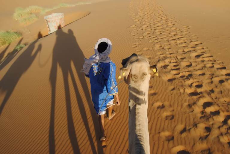 Sahara Desert