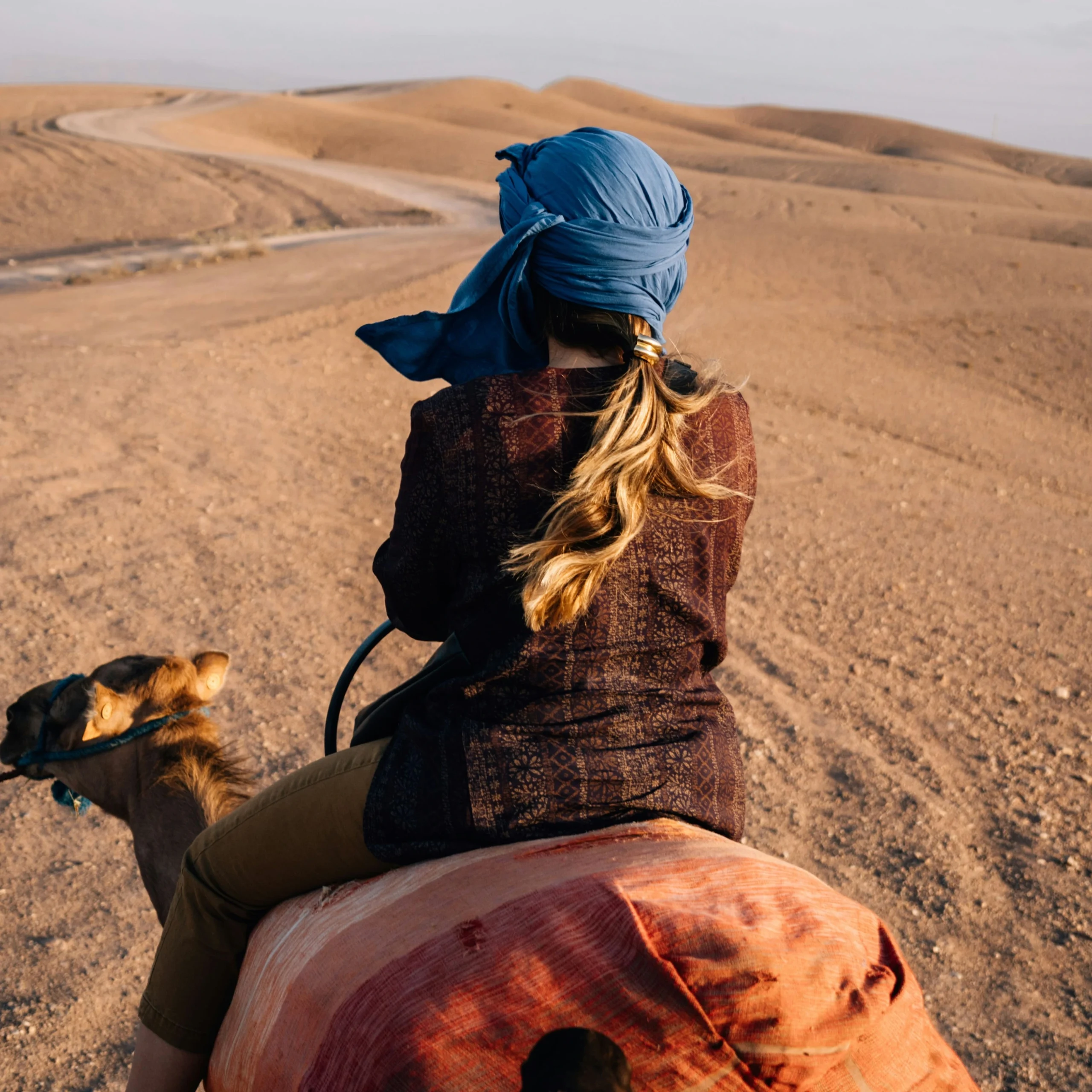 CAMEL RIDE MARRAKECH