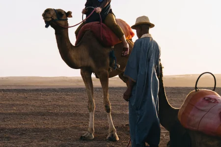 CAMEL RIDE MARRAKECH
