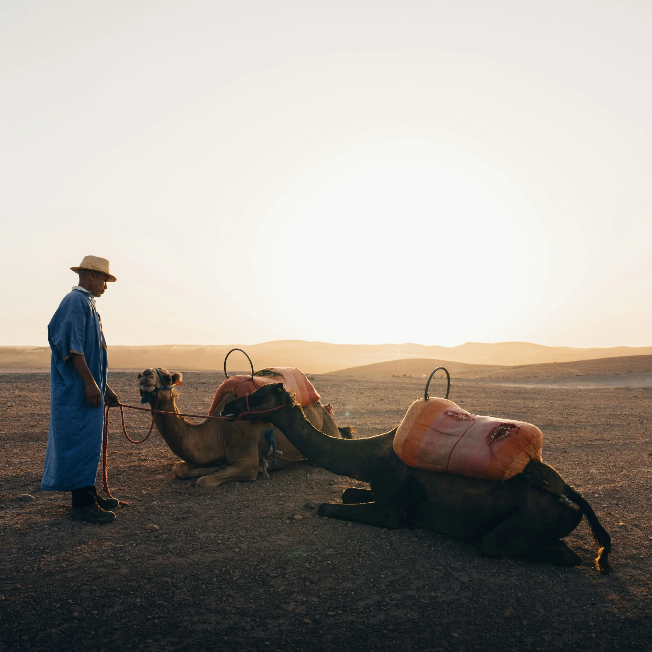 CAMEL RIDE MARRAKECH
