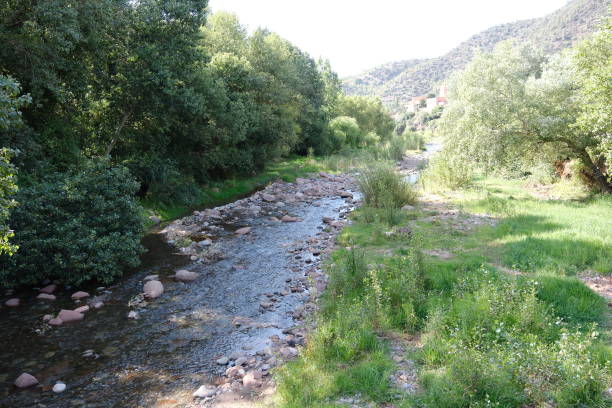 morocco premium travel