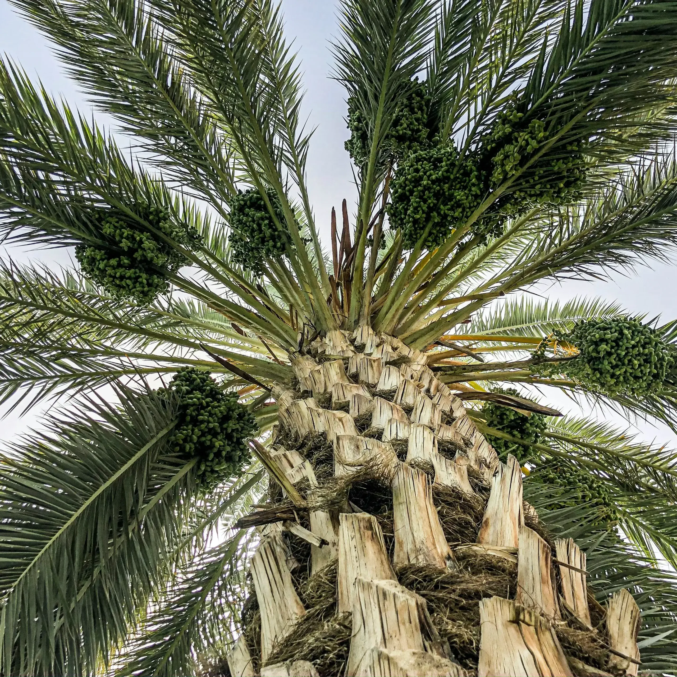 2 DAYS DESERT TOUR FROM MARRAKECH TO ZAGORA