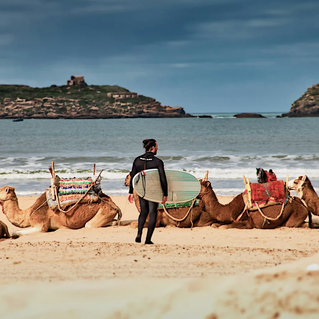 surf in essaouira