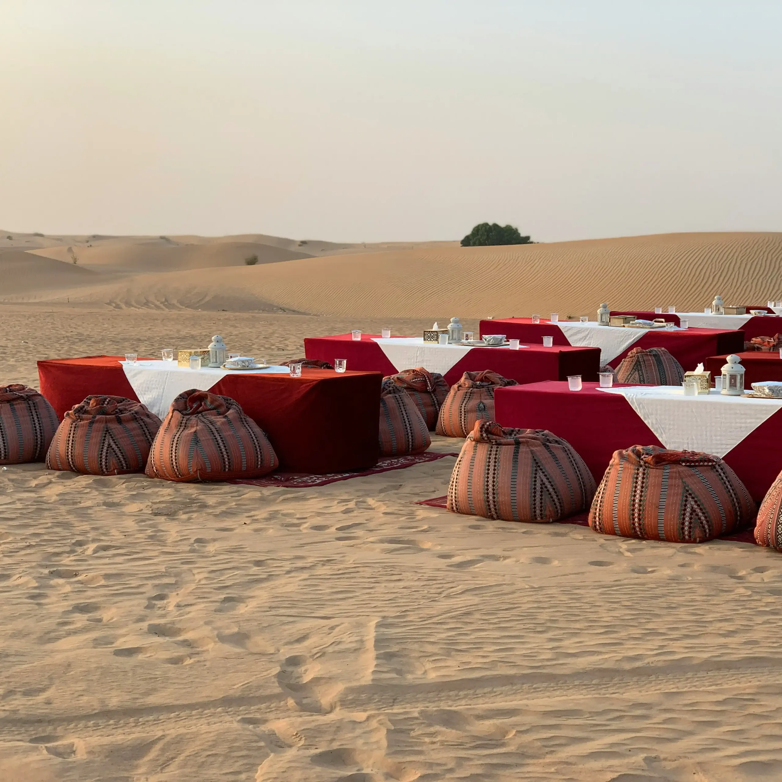 Camel-ride-and-dinner-in-Agafay-desert