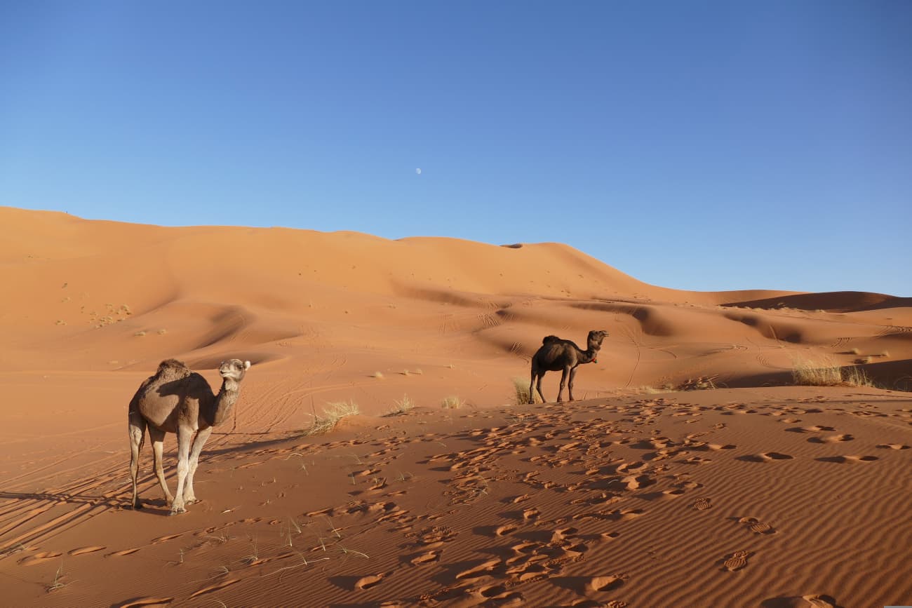 3-Day Agadir toMerzouga Desert Adventure & Sahara Camp